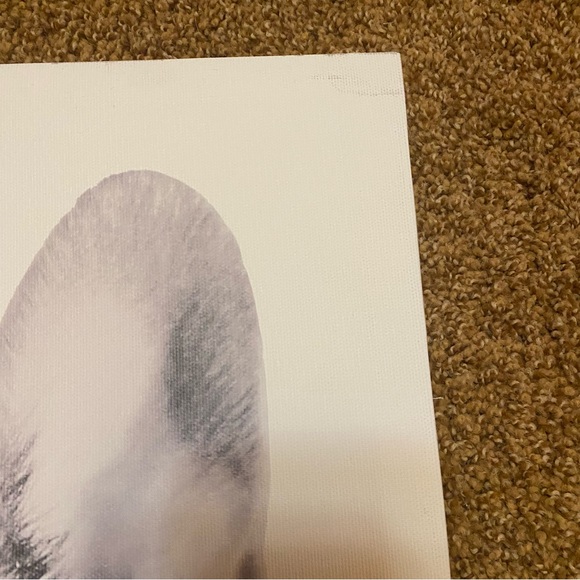 Soooo Cute Doggy Canvas - Picture 5 of 7